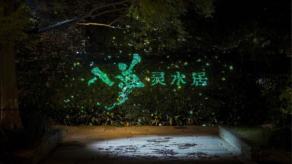 水幕投影 沉浸式光影秀 浙江乌镇《入梦灵水居》 manbet工程投影 树木投影 ALPD激光光源 